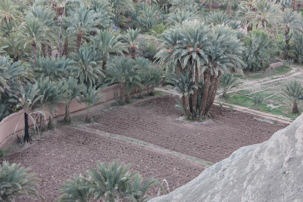 Kasbah Itrane Bed & Breakfast Tamnougalt Dış mekan fotoğraf
