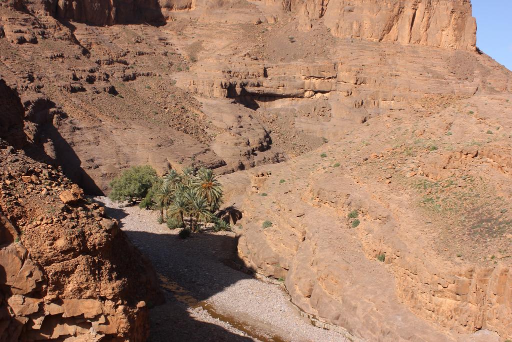 Kasbah Itrane Bed & Breakfast Tamnougalt Dış mekan fotoğraf